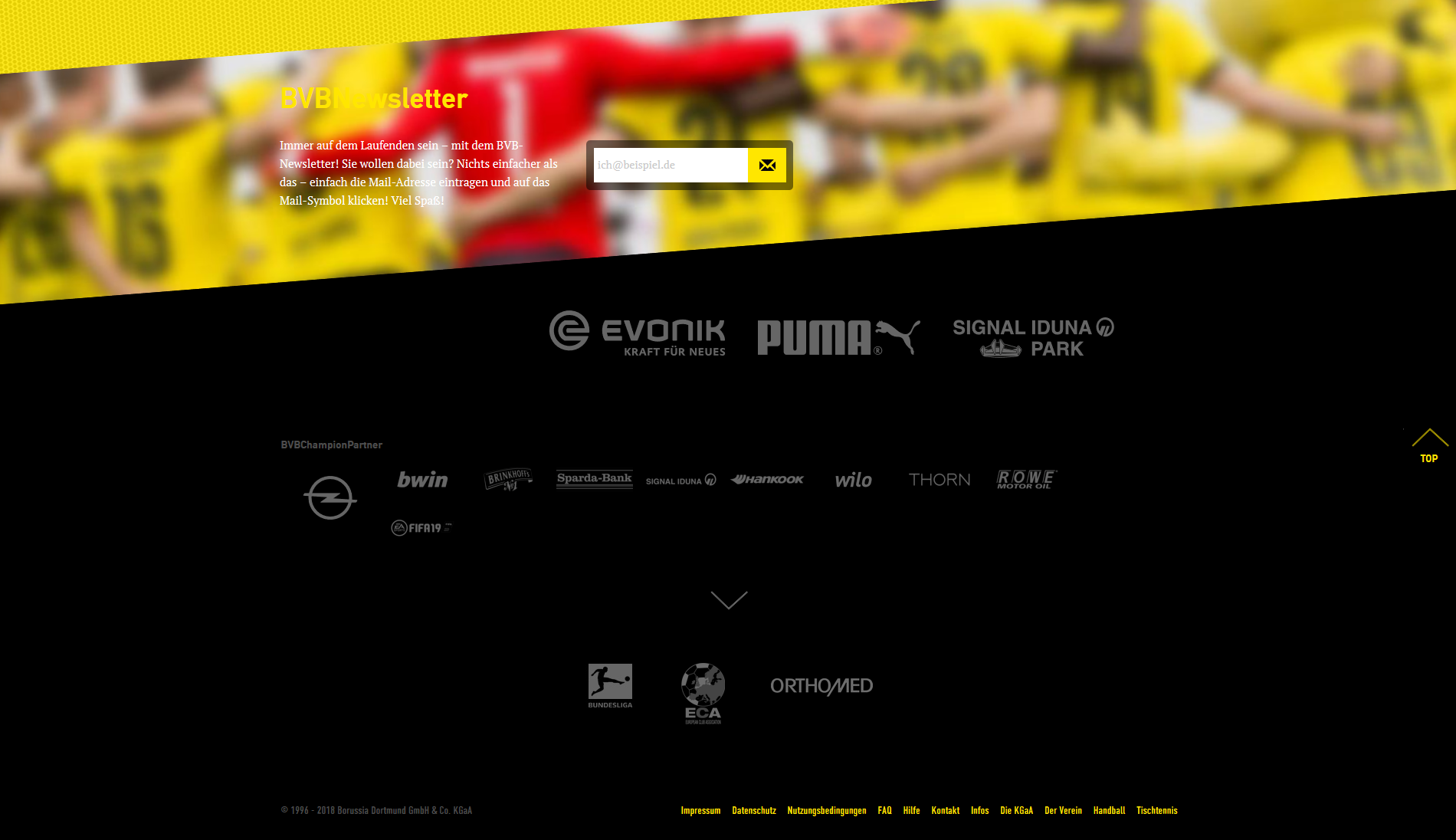 logo fifa 19 sito bvb