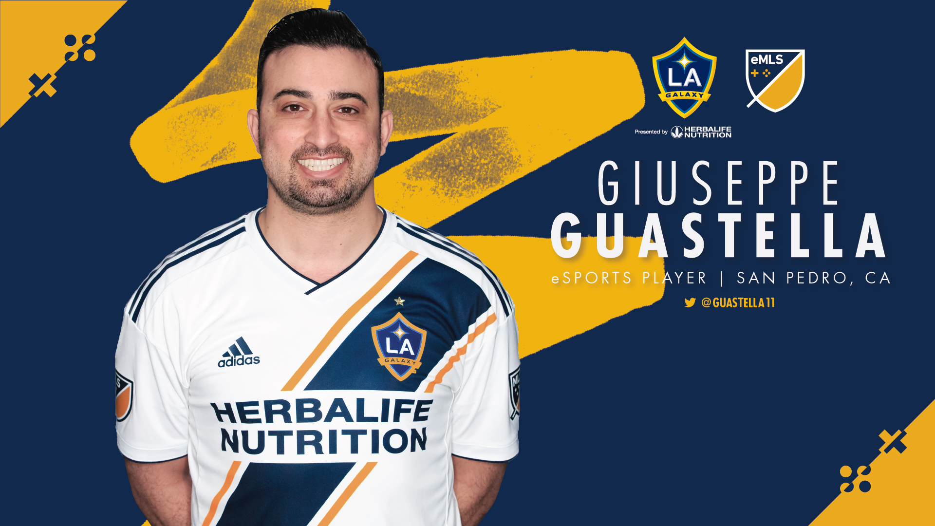 LAG eMLS Assets 2019 GG 1920