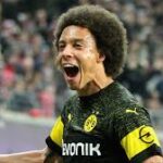 witsel tots