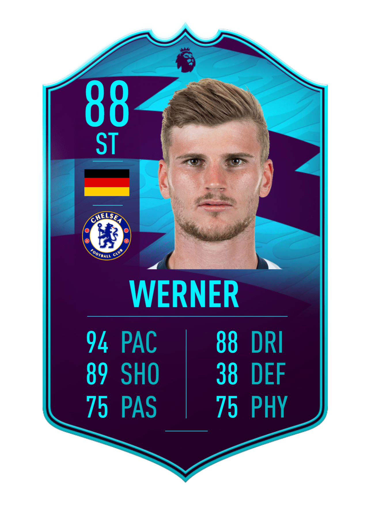 WERNER1