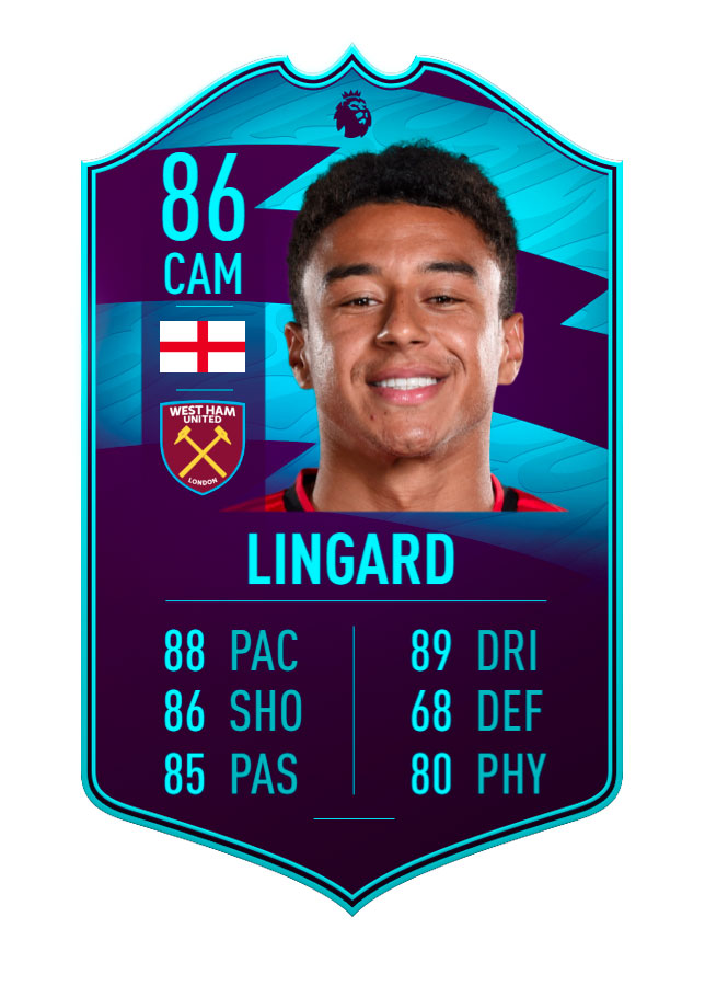 LINGARD