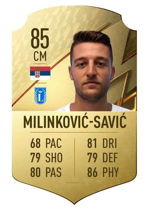 sergej milinkovic