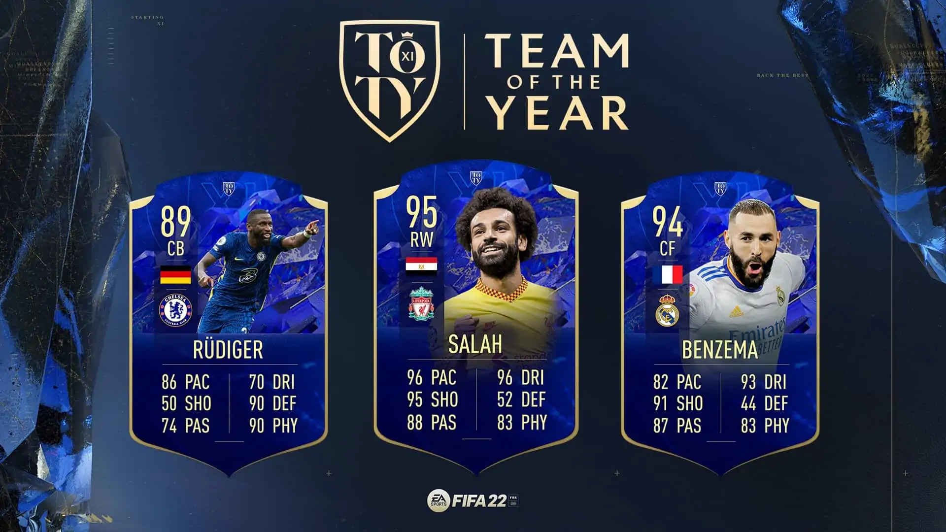 HOHO team