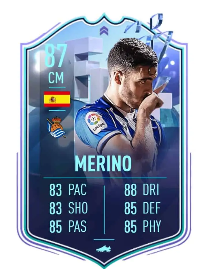 Merino 1