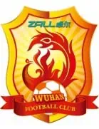 wuhanY