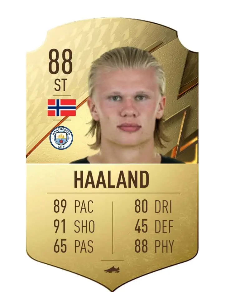 Haaland 1
