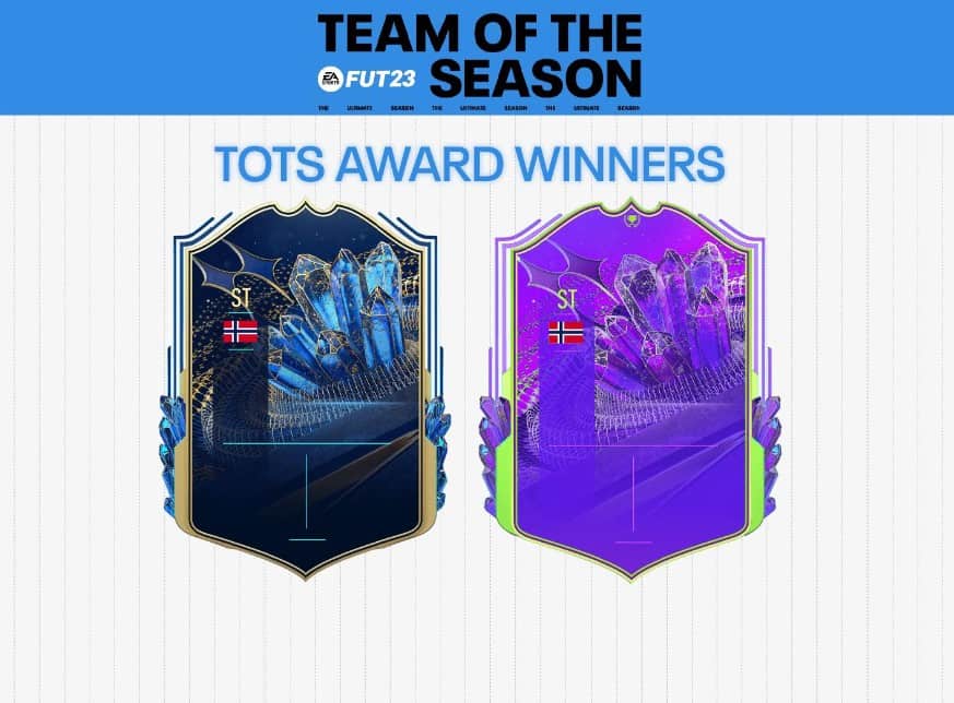 TOTS Award Winners