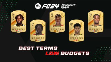 FC 24 BEST TEAM LOW BUDGETS
