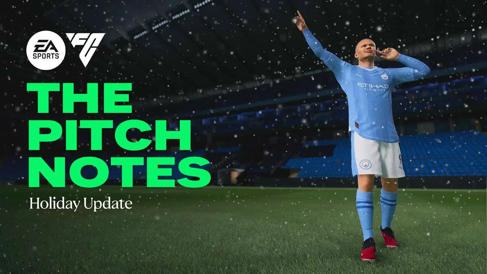 FC 24 Pitch Notes