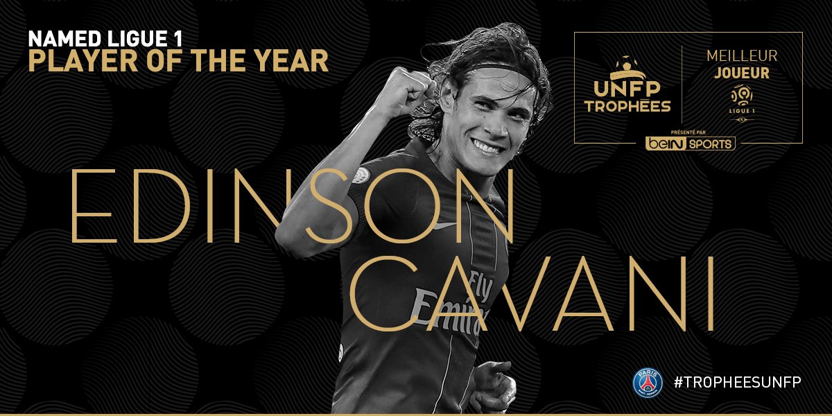 FIFA: Annunciati i vincitori degli awards della Ligue One ...