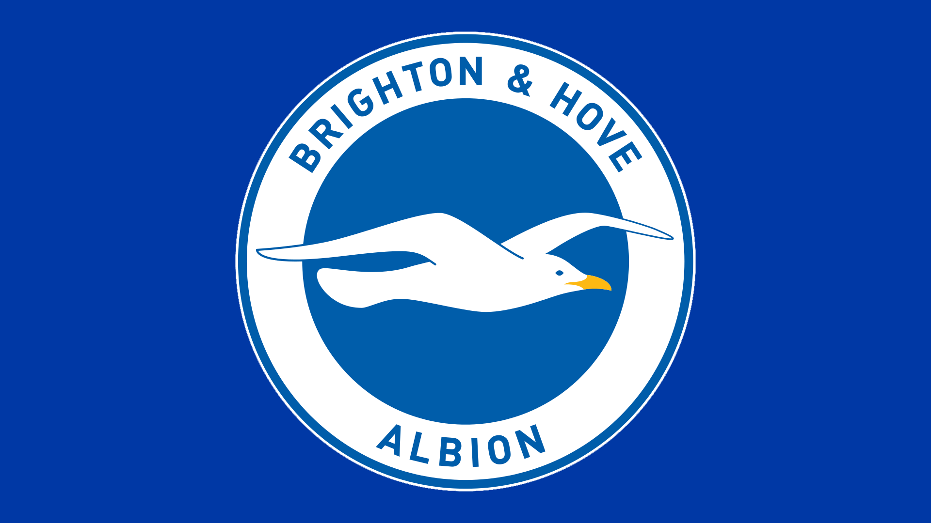 news Brighton Hove Albion fifa 18