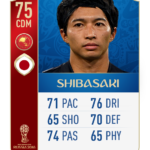 afc_wc_fut_18_21