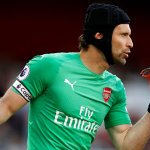 cech sbc fut 19
