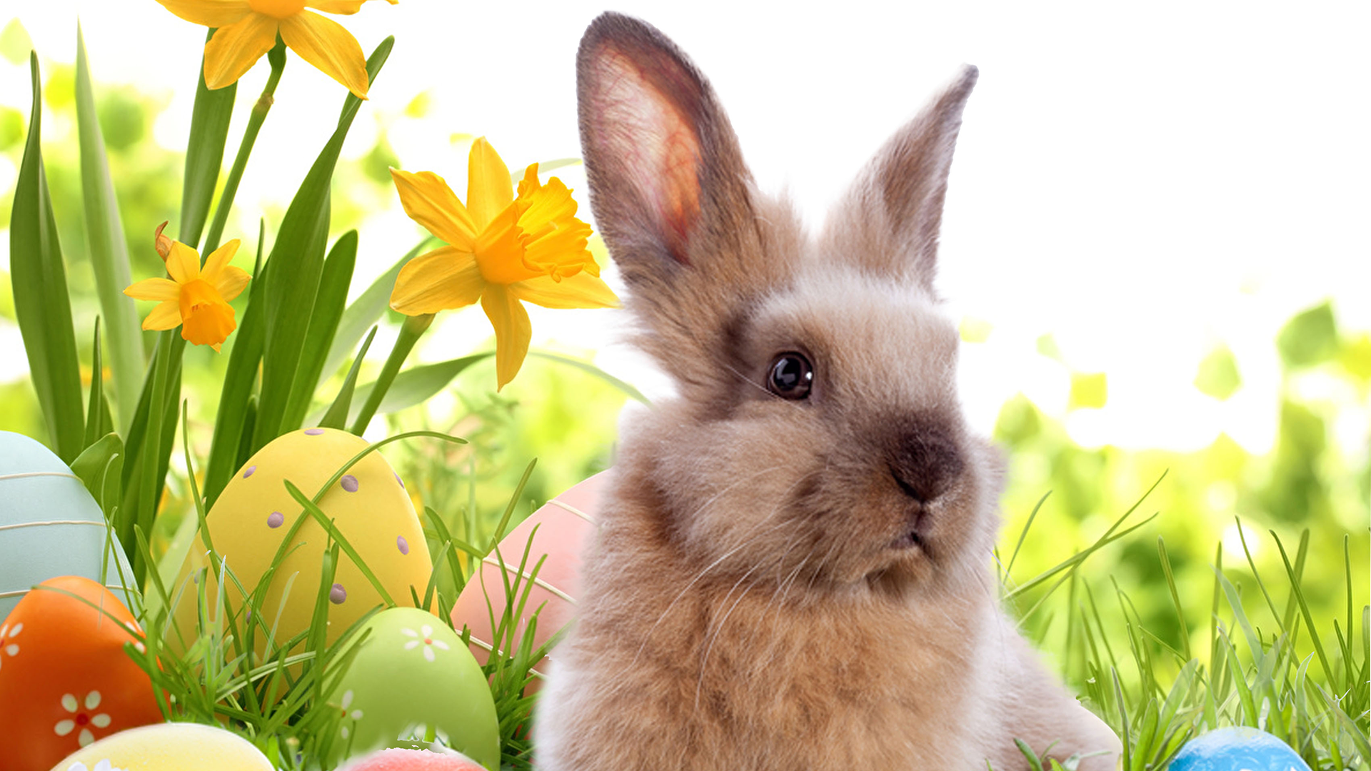 auguri buona pasqua 2019