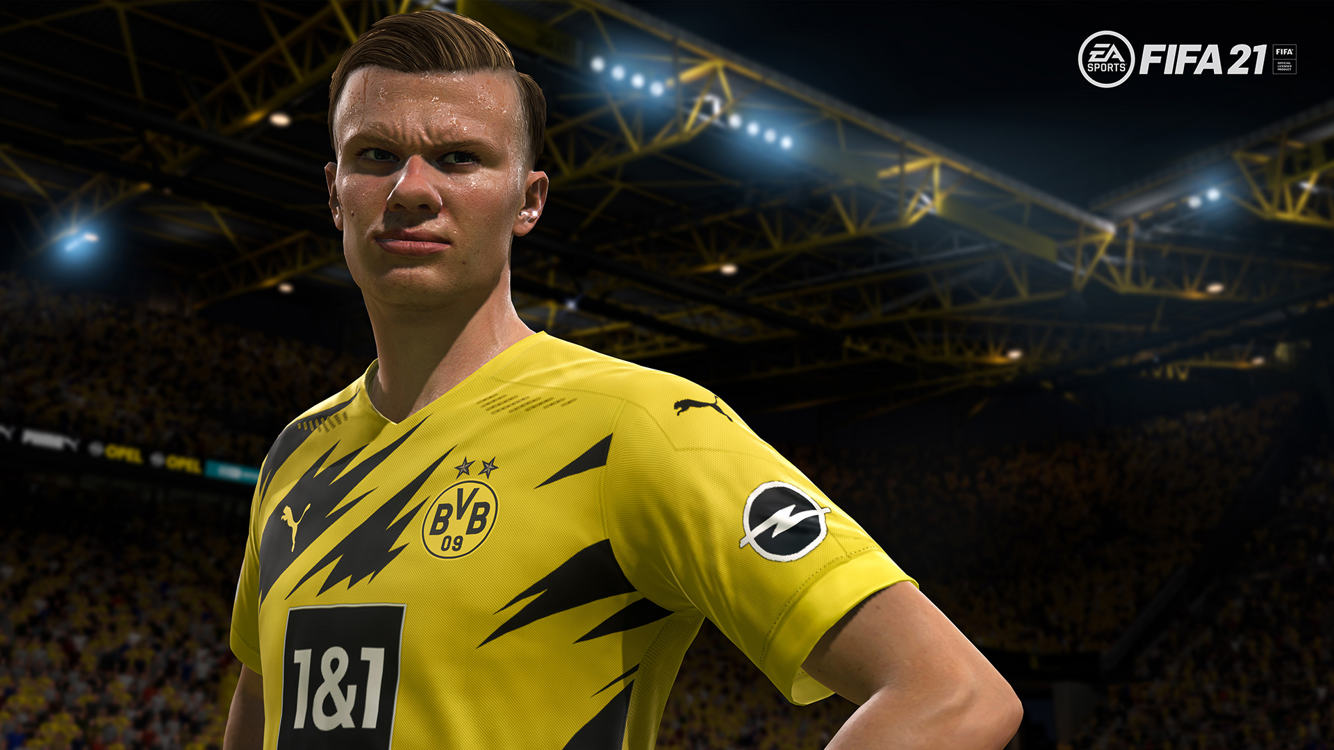 HAALAND BUNDESLIGA HERO