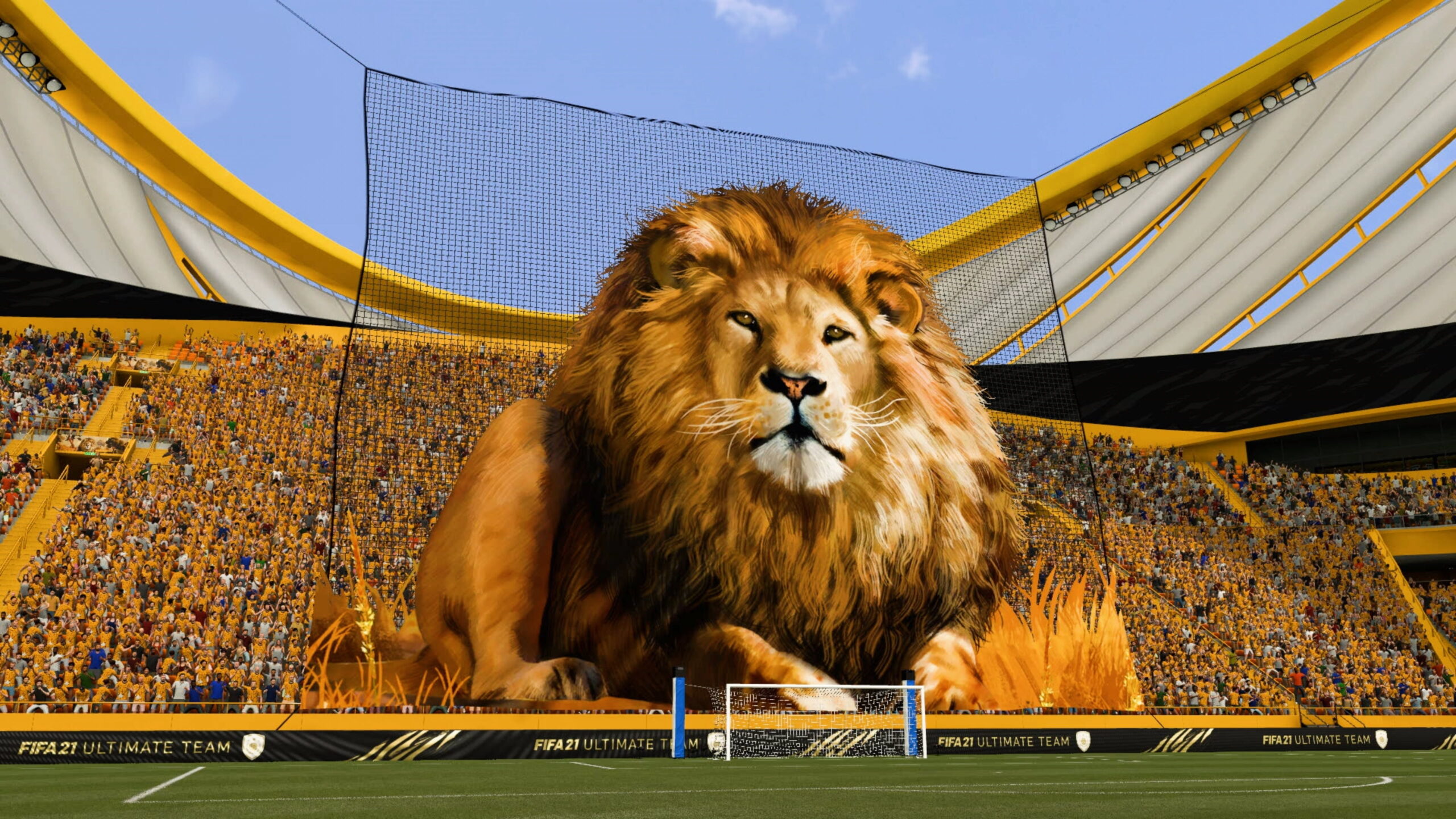 lion tifo scaled