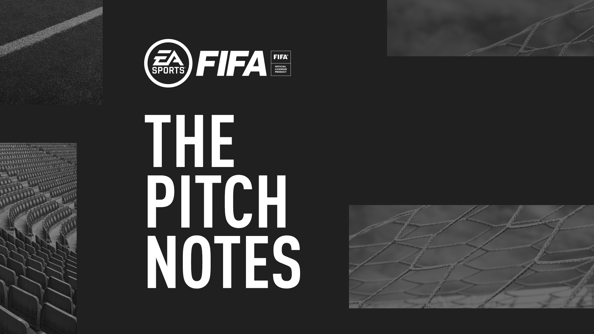 fifa21 pitch notes black