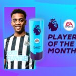 willockpotm
