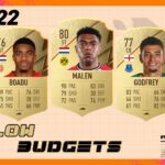 cover low budgets fut 22