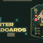 cover sow winter wildcard fifa 22