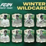 Cover Team 1 Winter Wildcards FC 24