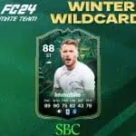 cover sbc immobile winter wildcards fc 24