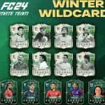 cover team 3 winter wildcards fc 24