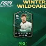 cover sbc stones winter wildcards fc 24