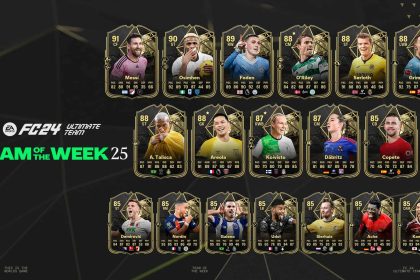 cover totw 25 fc 24
