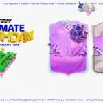 ultimatebirthdayfc24cover