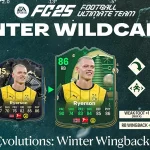 Cover Obj Evolutions Winter Wingback I Fc 25