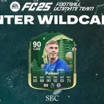 Cover SBC Palmer Winter Wildcards Fc 25