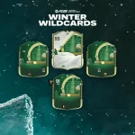 Cover Winter Wildcards Fc 25