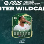 Cover SBC Gakpo Winter Wildcards Fc 25