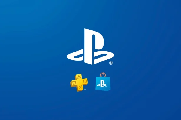 Cover PSN Card PS5 PS4