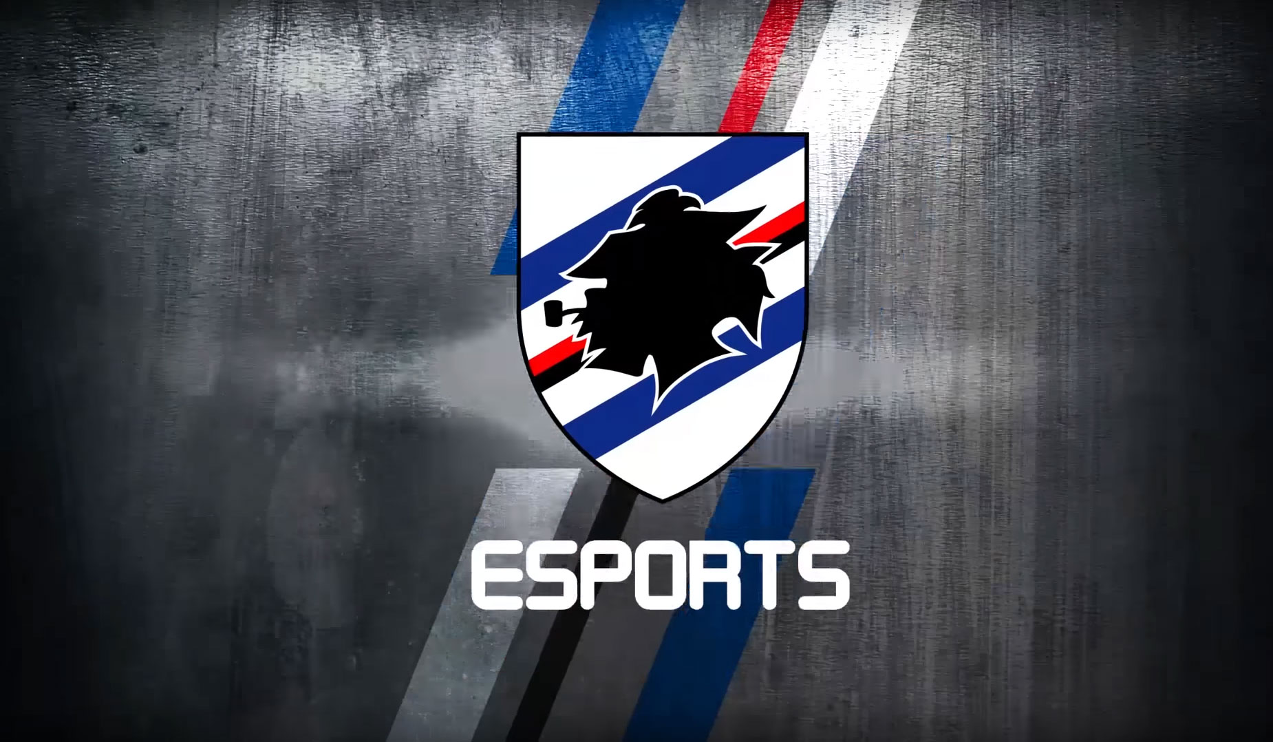 news samp esports cup fifa 17